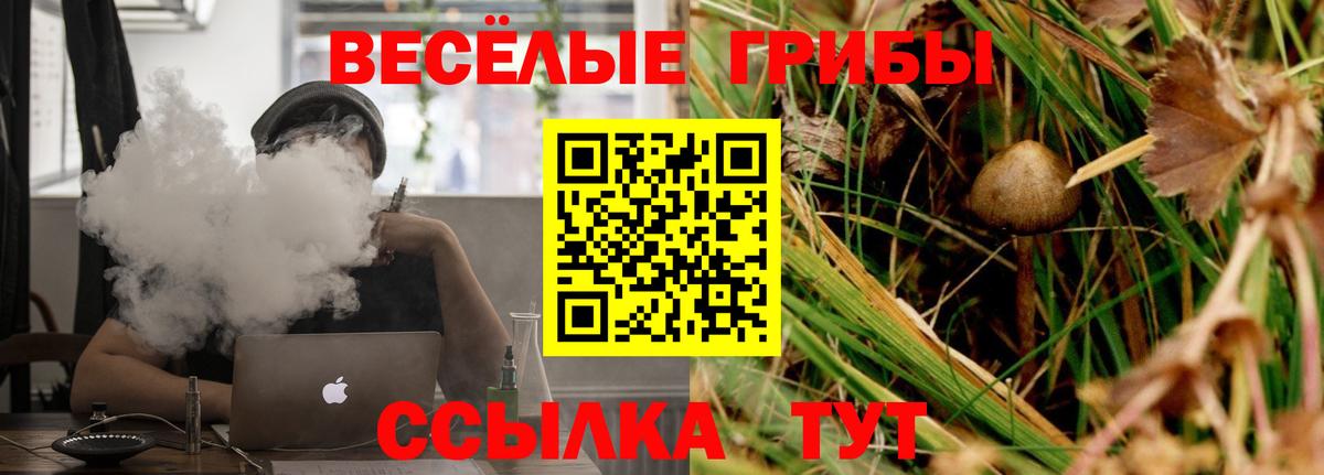 Галлюциногенные грибы Cubensis Воркута